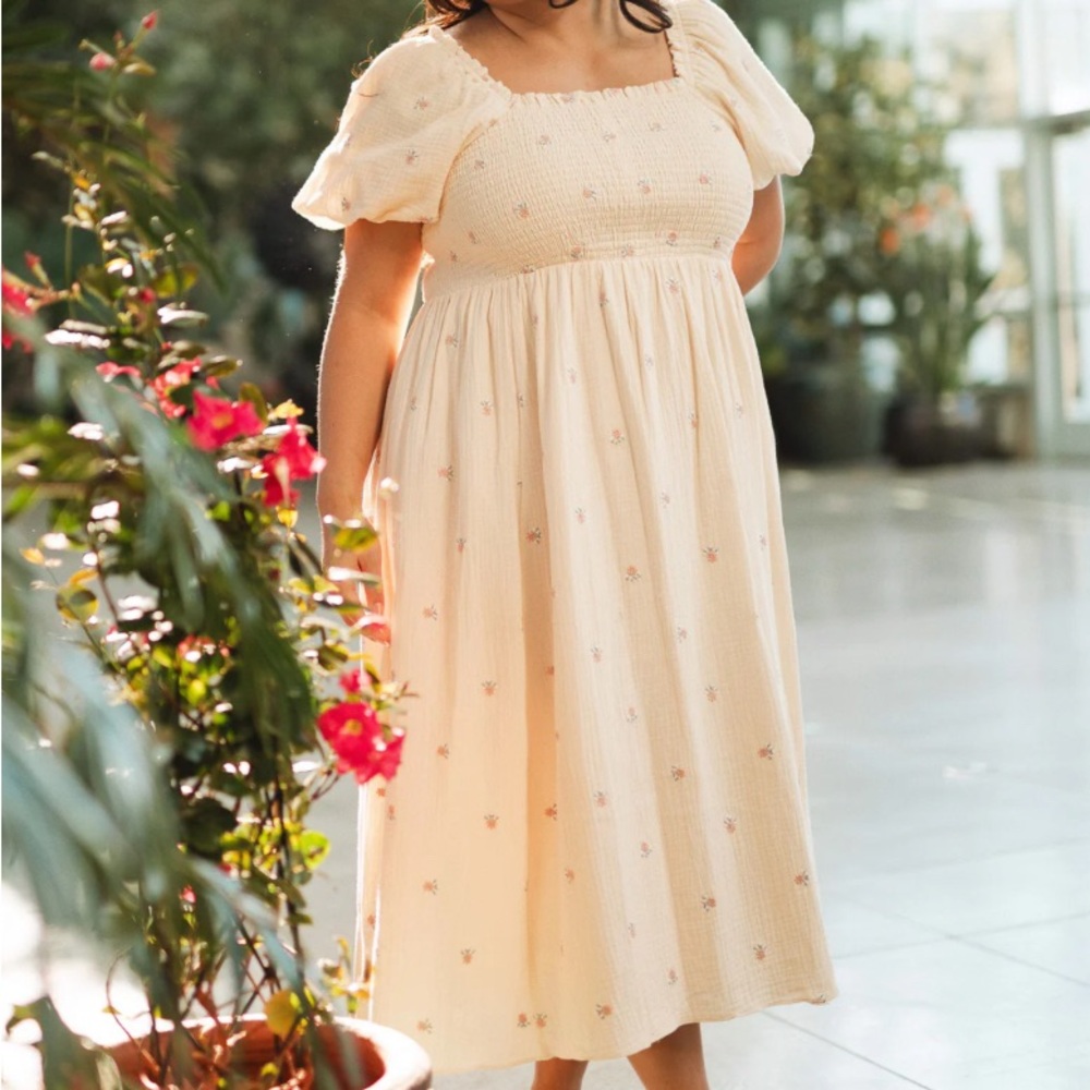 Ivy City Co Serendipity Dress